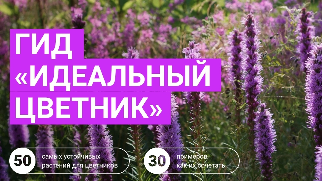 [Марина Берестова] Гид «Идеальный цветник» (2023)