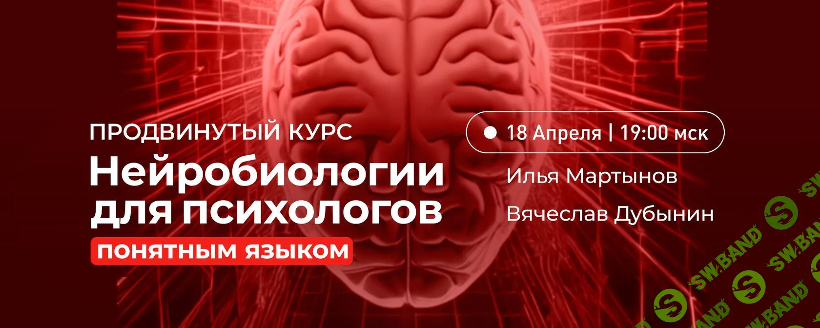 [Вячеслав Дубынин, Илья Мартынов] Продвинутый курс нейробиологии для психологов понятным языком (2023)