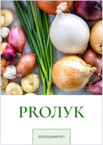 [Рыжий Фермер] Дарья Яковлева - Методичка по выращиваю зеленого лука «PROЛУК» (2023)