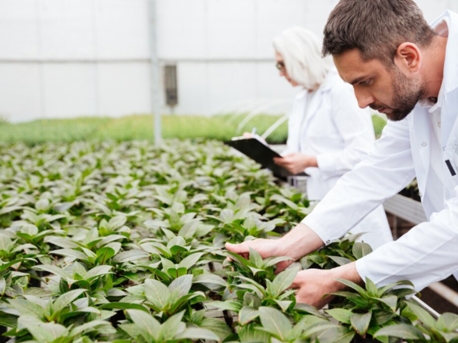 [Инфоурок] Методы, принципы и агротехника биологического земледелия (2024)