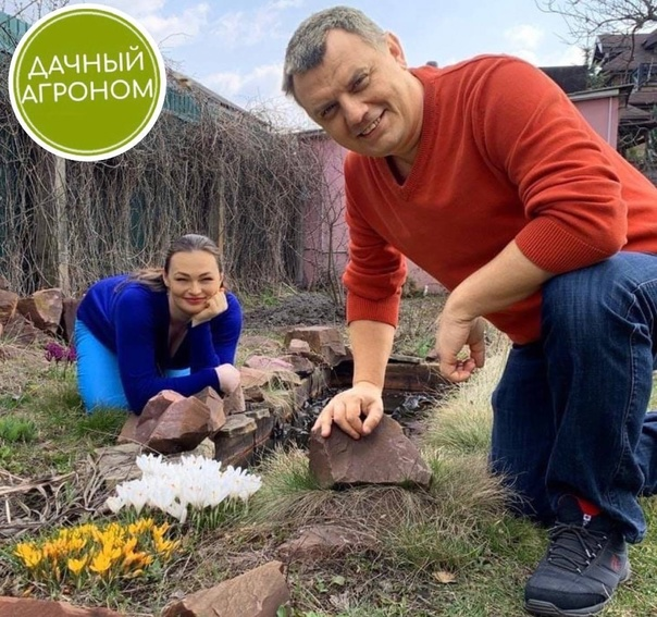 [Дачный агроном] Вячеслав Грисюк ― Правильный курс (2024)