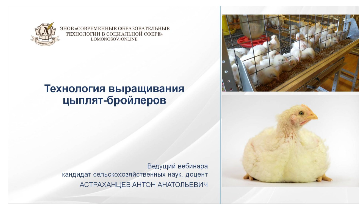 [Антон Астраханцев] Технологии выращивания цыплят-бройлеров (2023)