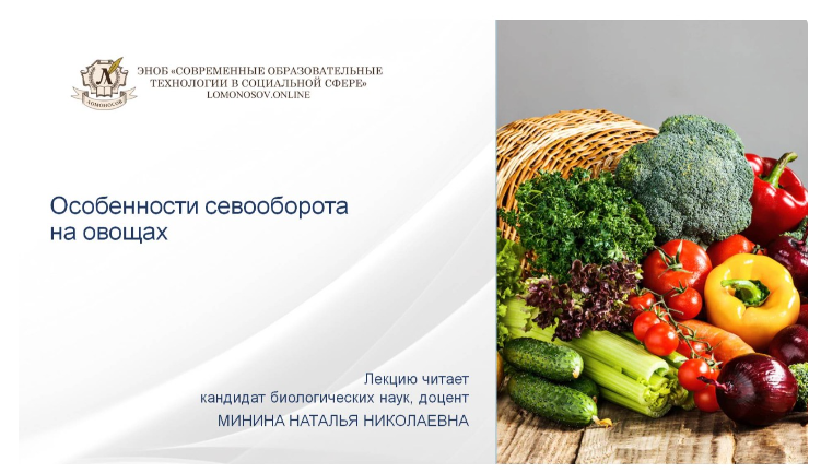 [Наталья Минина] Особенности севооборота на овощах (2024)