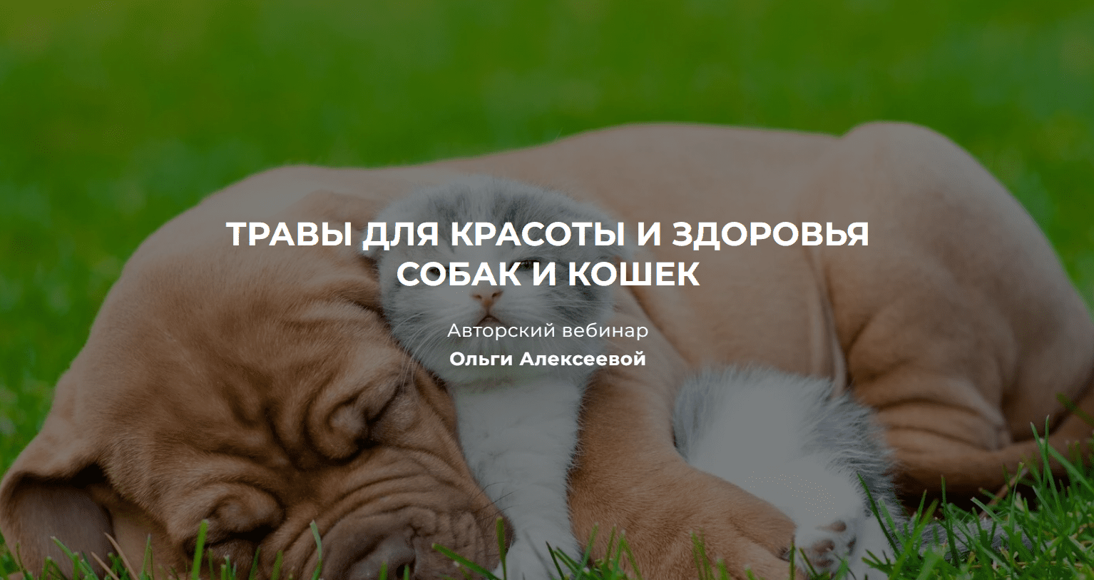 [Ольга Алексеева] Травы для красоты и здоровья собак и кошек (2023)