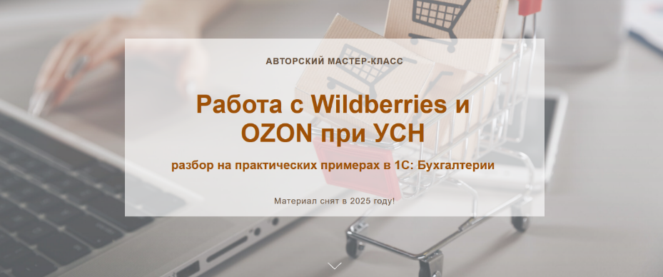 [Алина Календжан] Работа с Wildberries и OZON при УСН. Видео без обратной связи (2025)