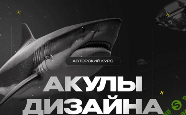 [Лилия Асылханова] Акулы дизайна, обучение с нуля (2024)