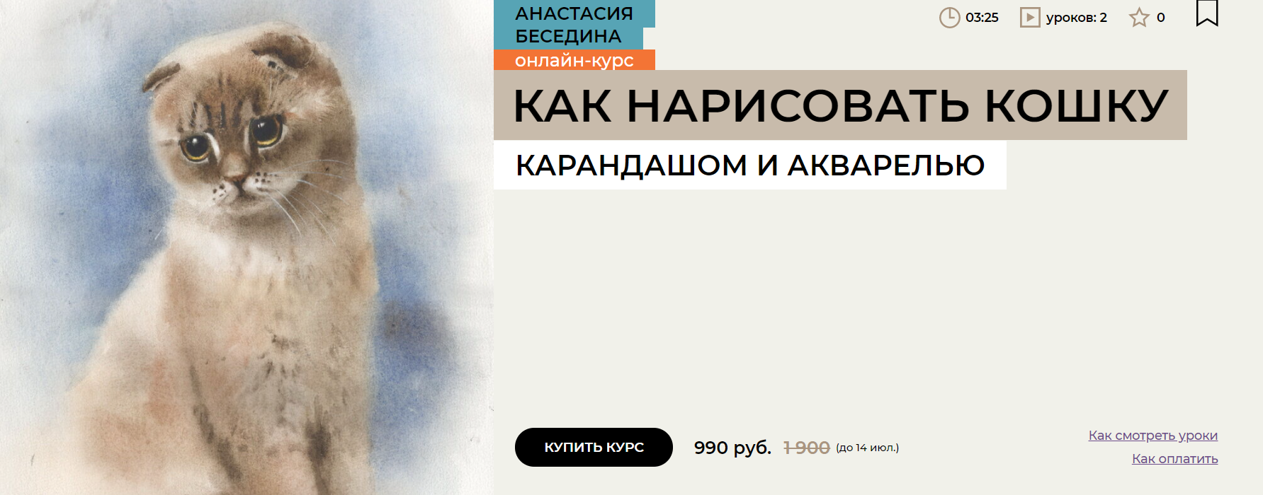 [Enterclass] Портрет кошки (2024)