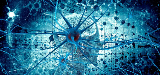 Скачать [Ольга Сварник] Введение в когнитивную нейронауку. Лекция 6. Мозг во сне (2025)