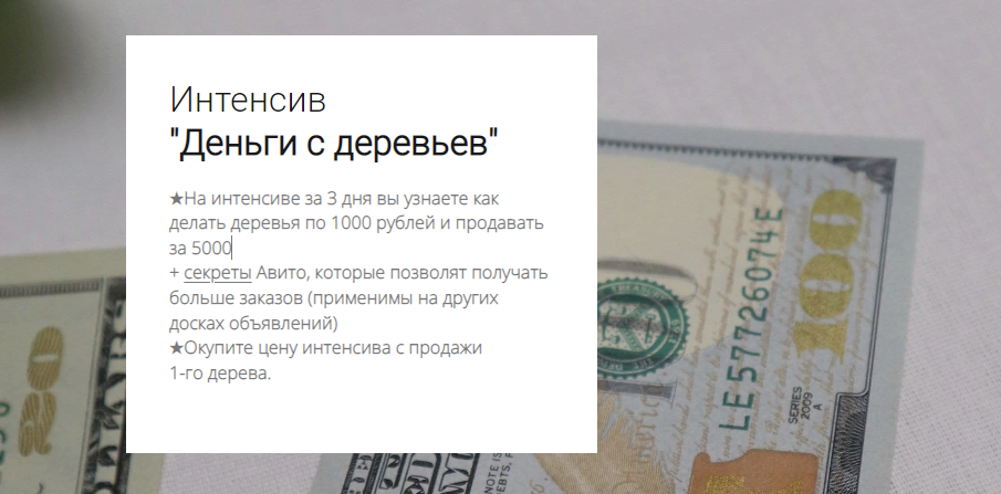 [my.love.dom] Деньги с деревьев (2023)