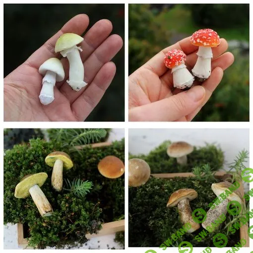 [masterbelkas, Светлана Белова] Грибной курс (2023)