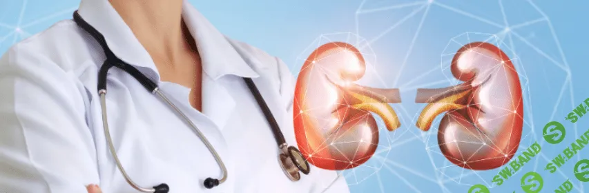 [Humberto 2.0] Мочекаменная болезнь (2024)