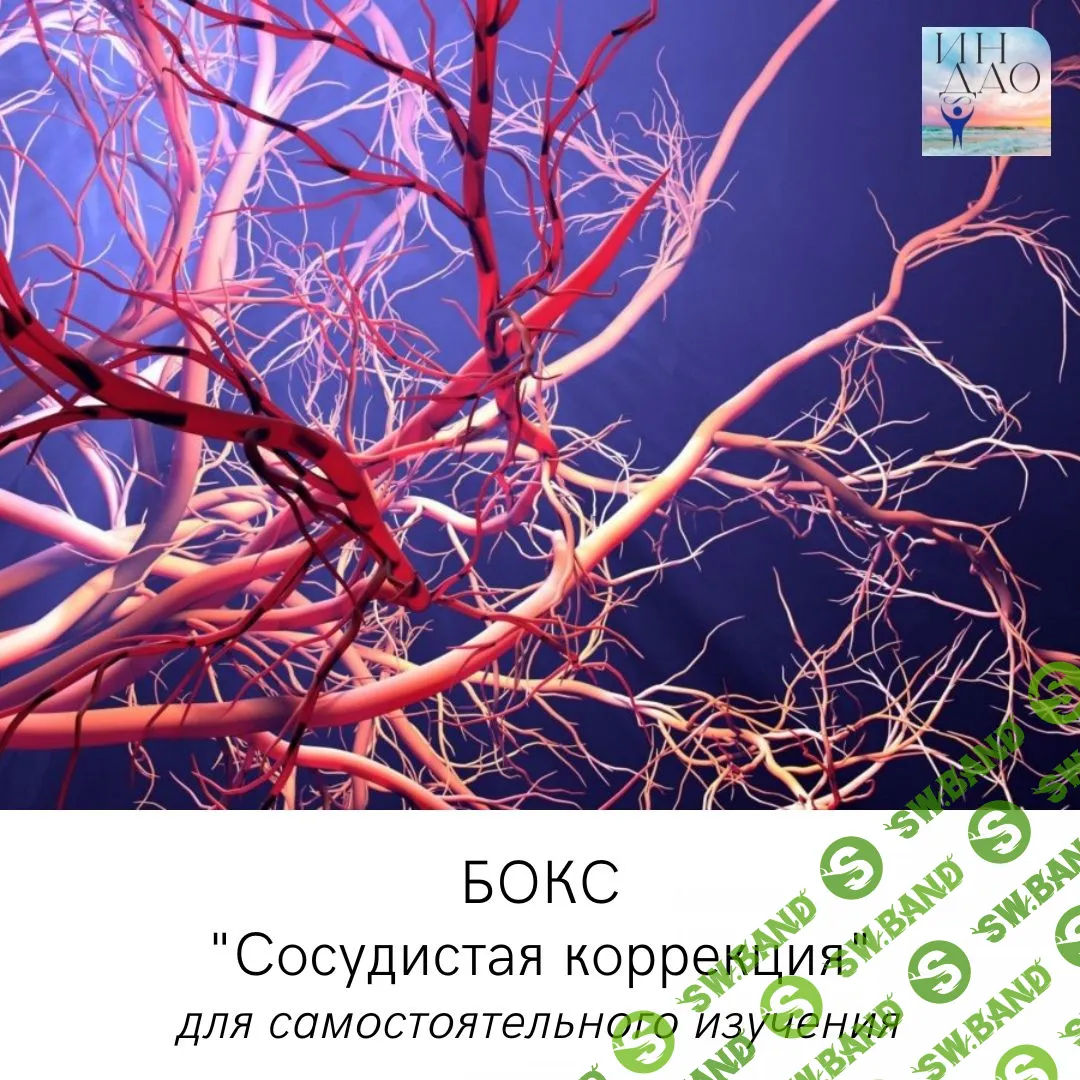 [Сергей Матюшкин] Бокс «Сосудистая коррекция» (2023)