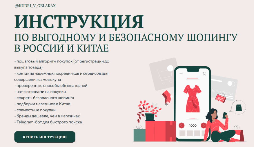 Надежда Артамонова - Инструкция по выгодному и безопасному шопингу в России и Китае (2023)