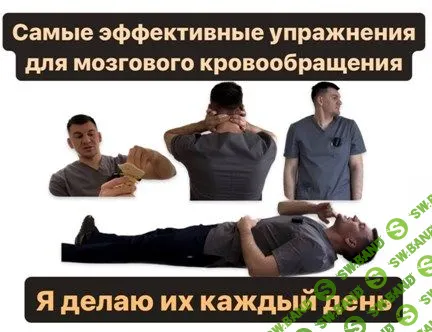 [Антон Алексеев] Полный комплекс упражнений для восстановления кровоснабжения мозга. Тренировка мышц шеи. (2023)