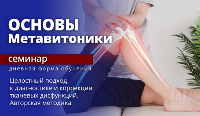 Эдуард Нейматов - Основы Метавитоники (2023)