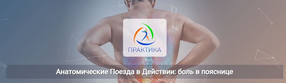 [Анна Щербина] [Центр Практика] Анатомические поезда в действии: боль в пояснице (2025)