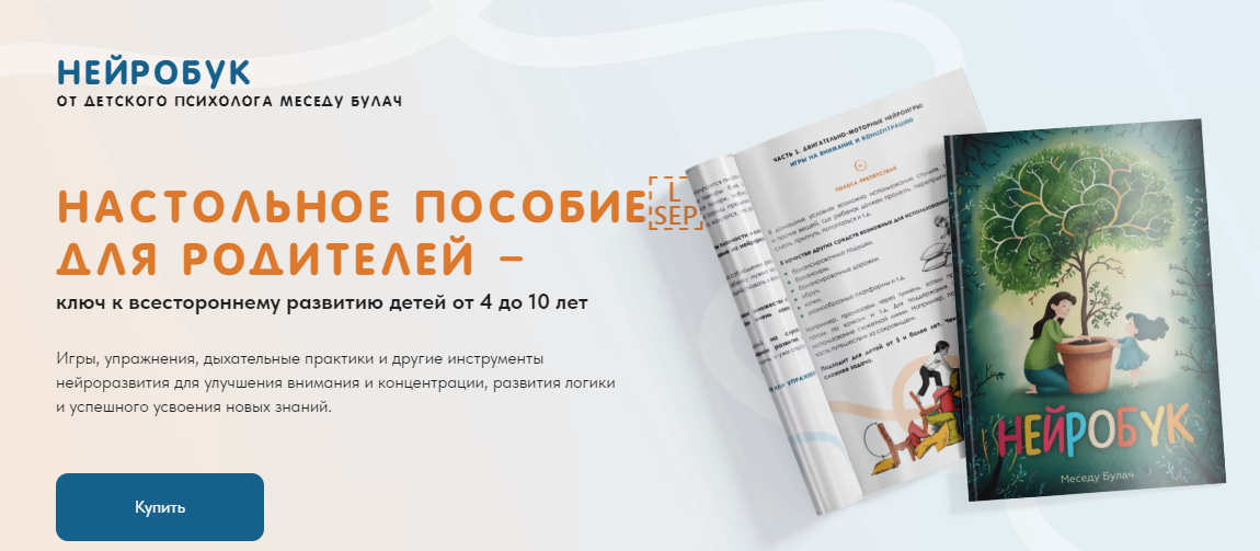 Меседу Булач - Нейробук (2024)