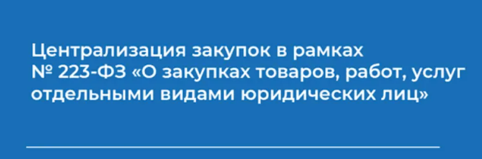 [Сергей Семенов] Централизация закупок в рамках № 223-ФЗ «О закупках товаров, работ, услуг отдельными видами юридических лиц» (2023)