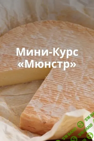 [Ольга Лазарева] Сыр Мюнстр (2025)