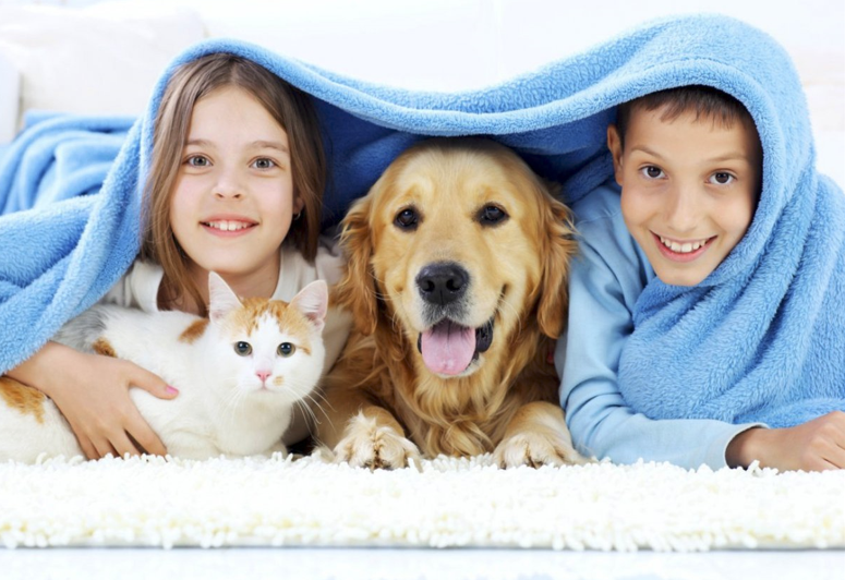 SUPER VIP [EduNote] Александра Александрова - Животные как часть семейной системы (2023)