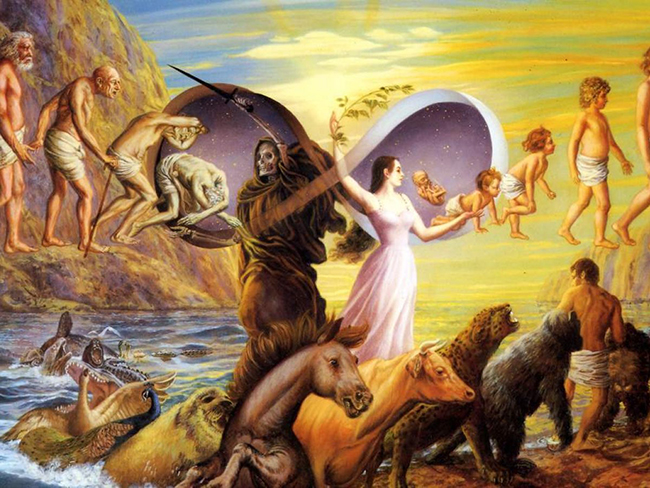 SUPER VIP [EduNote] Елена Рыжкова - Вопросы жизни и смерти (2023)