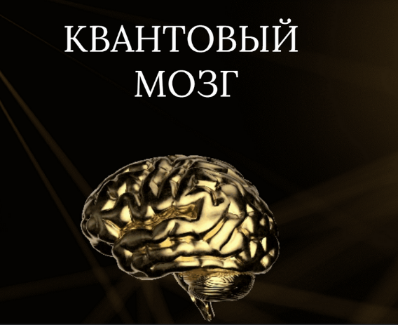 [Анна Камаллая Хефорс] Квантовый мозг (2023)