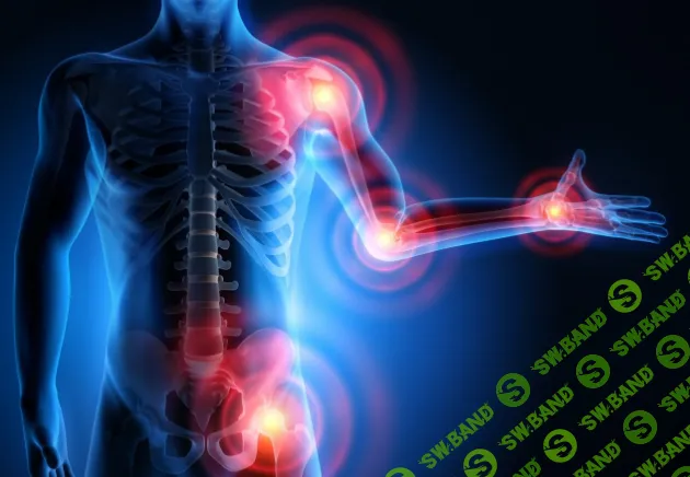 [Максим Андреюк] Здоровые суставы в любом возрасте (2023)