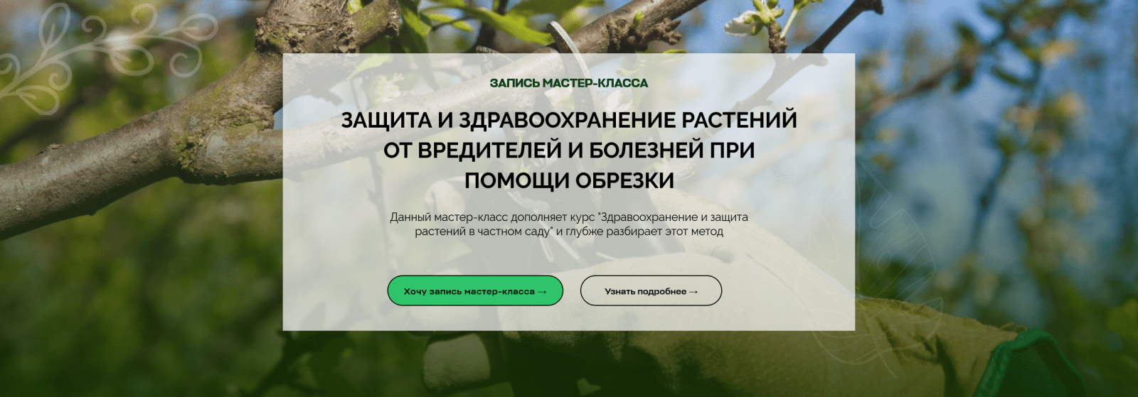 [Умный Садовник] Дмитрий Звонка ― Защита и здравоохранение растений от вредителей и болезней при помощи обрезки (2025)