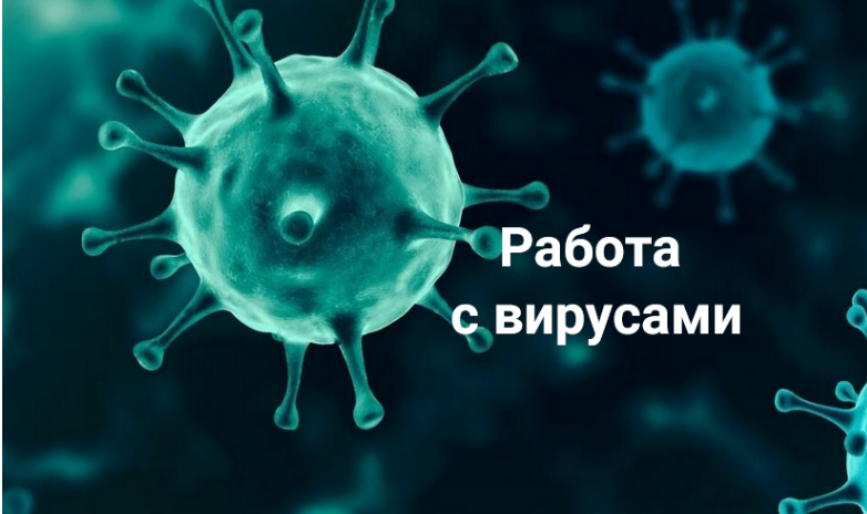 [Никита Истомин] Работа с вирусами (2024)