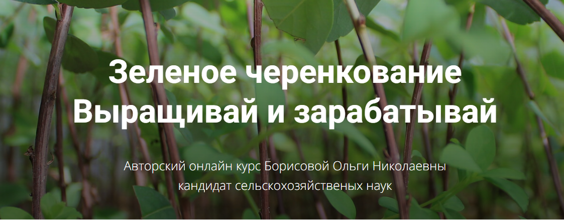 [Ольга Борисова] [Питомник растений «Глория»] Зеленое черенкование. Выращивай и зарабатывай (2025)