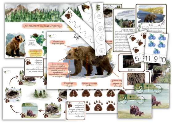 [Елена Самсонова, busy-bee] Бурый медведь (2025)