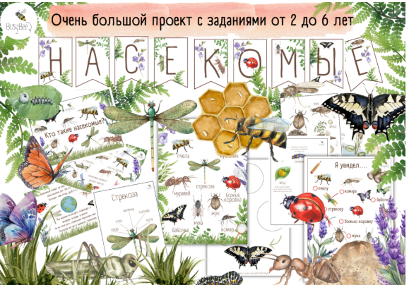 [Елена Самсонова] [BusyBee] Большой проект «Насекомые» (2025)