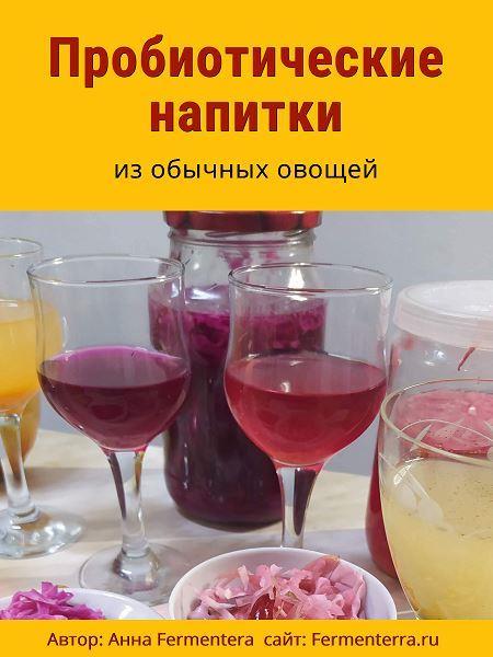 [Анна Fermenterra] Пробиотические напитки (2025)