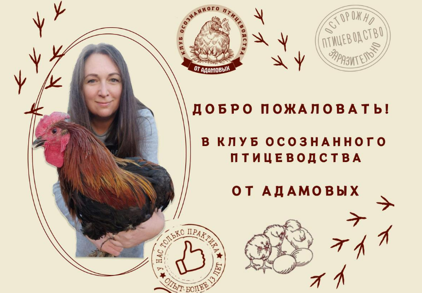 [Анна Адамова] Супер комбо обучающих руководств по птицеводству (2025)