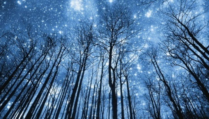 [Анна Староминская, Константин Дараган] Астрология налегке (август-сентябрь 2025). Тариф Очарованный небом (2025)