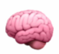 [Дмитрий Исаев] Фабула Мозг (ZTN) (2025)