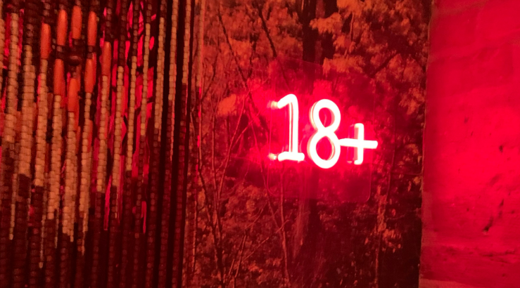 [Ирина Заяц, Ольга Лохман] Инструкция по либидо (2025)