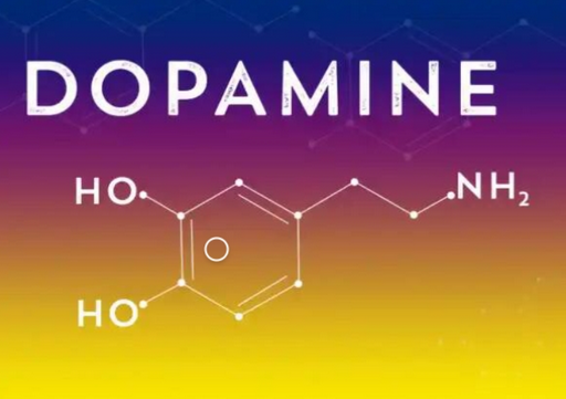 [Ирина Баранова, Татьяна Смольянинова] [Первая школа биохакинга] Дофаминомания. Август (2023)