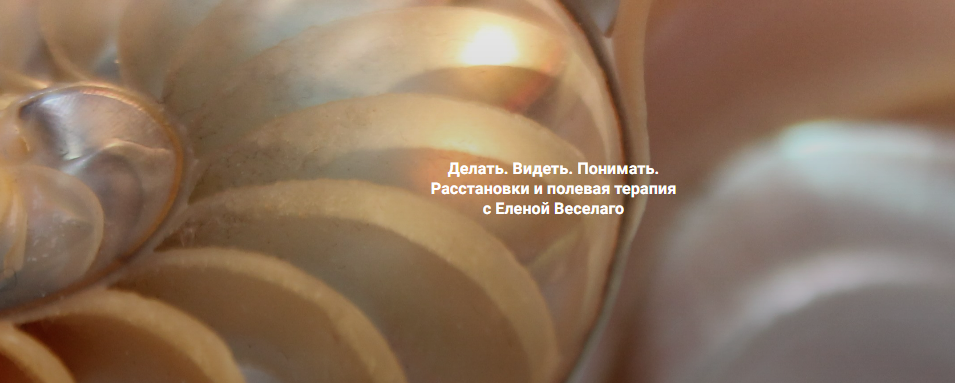 [Елена Веселаго] [Институт Открытого поля] Делать. Видеть. Понимать. Расстановки и полевая терапия (2025)